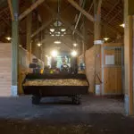 JCB 504-13 Telescopic Handler carrying materials through stables.