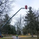 Skyjack SJ82/86 T telescopic boom lift raising worker for tree maintenance.