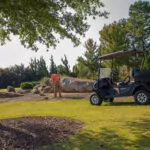 Cushman Hauler 800X Utility Vehicle on golf course.