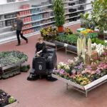 Nilfisk SW3000 rider sweeper professionally cleaning floors in greenhouse store.